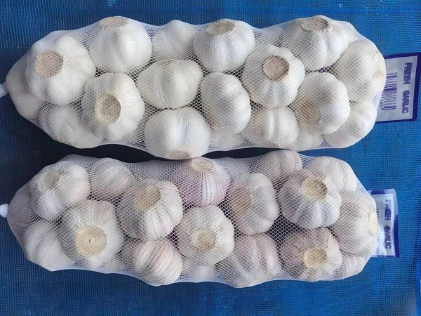 1048411c-6890-4831-9a6c-3a5865d35389(001) 1048411c-6890-4831-9a6c-3a5865d35389(001)